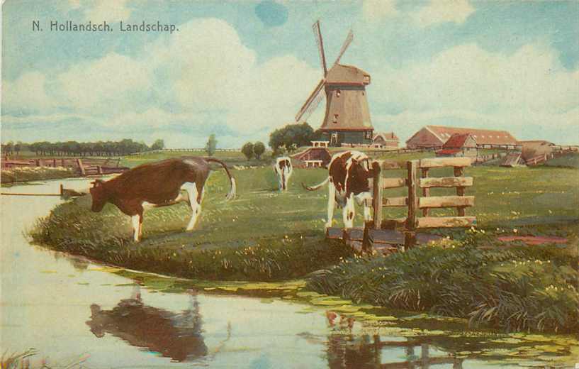 Noord Hollandsch Landschap