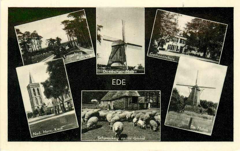 Ede