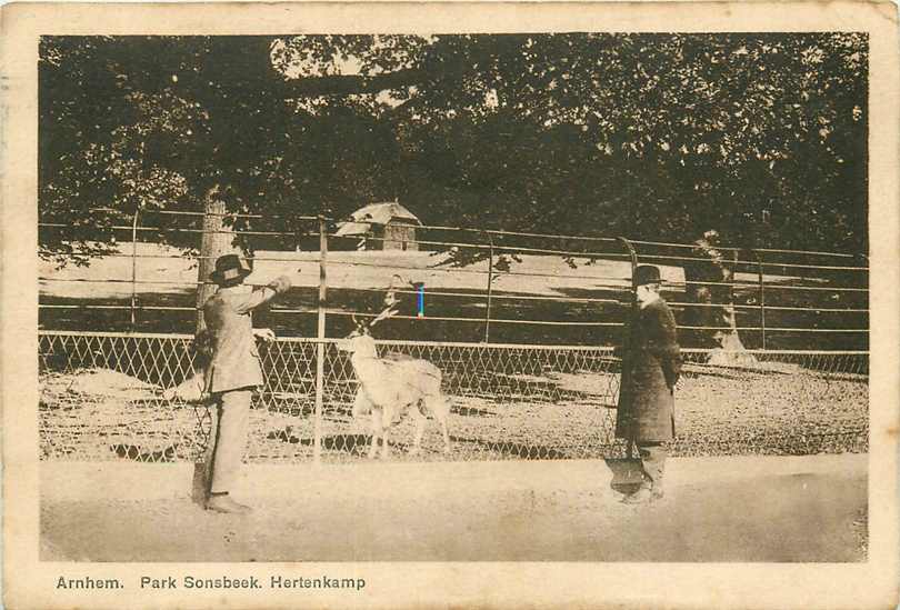 Arnhem Park Sonsbeek Hertenkamp