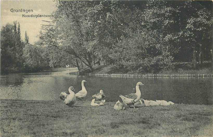 Groningen Noorderplantsoen