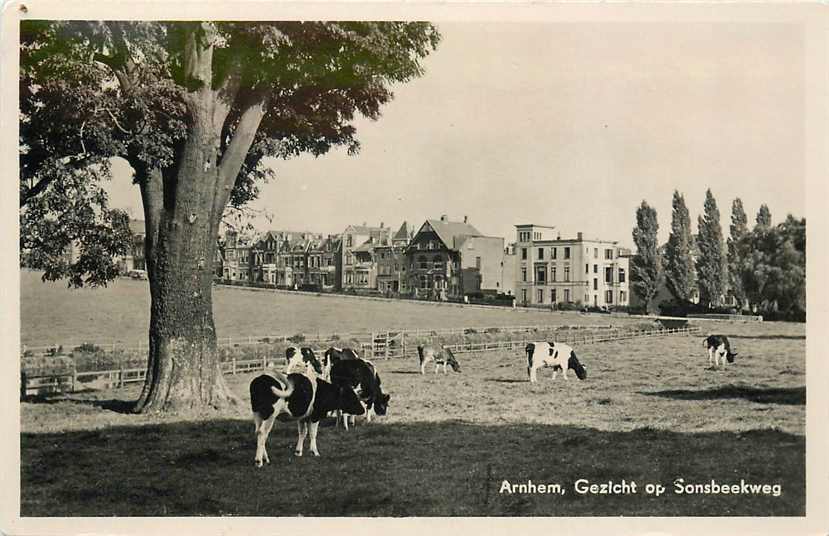 Arnhem Sonsbeekweg