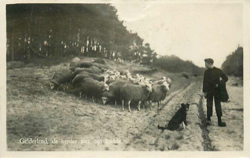 Gelderland De Herder met zijn Kudde