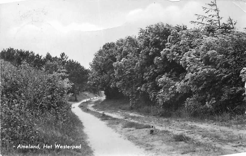 Ameland Het Westerpad