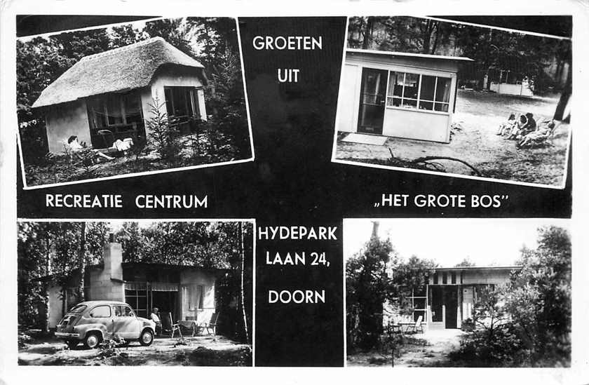 Doorn Het Grote Bos