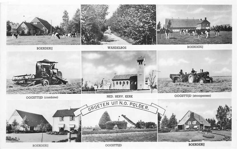 Noord Oost Polder