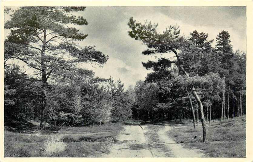 Lutterzand Weggetje naar de Mekkelhorst