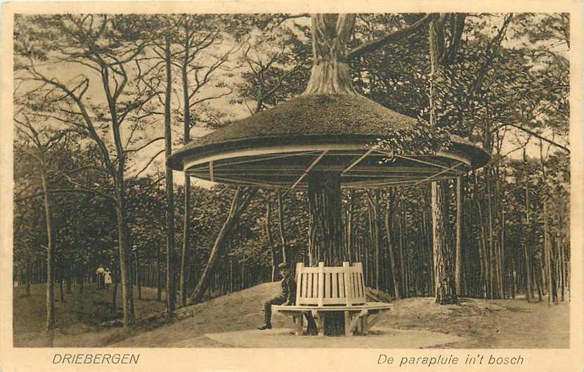 Driebergen De Parapluie in t Bosch