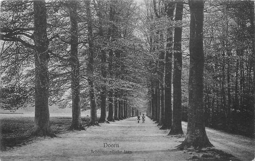 Doorn Schoonoordsche Laan