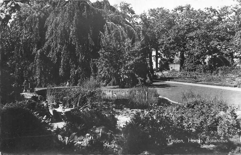 Leiden Hortus Botanicus