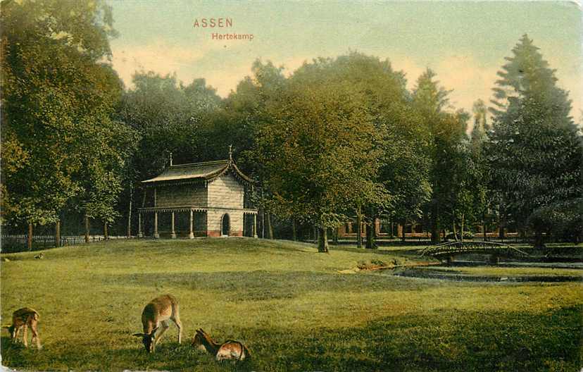 Assen Hertenkamp