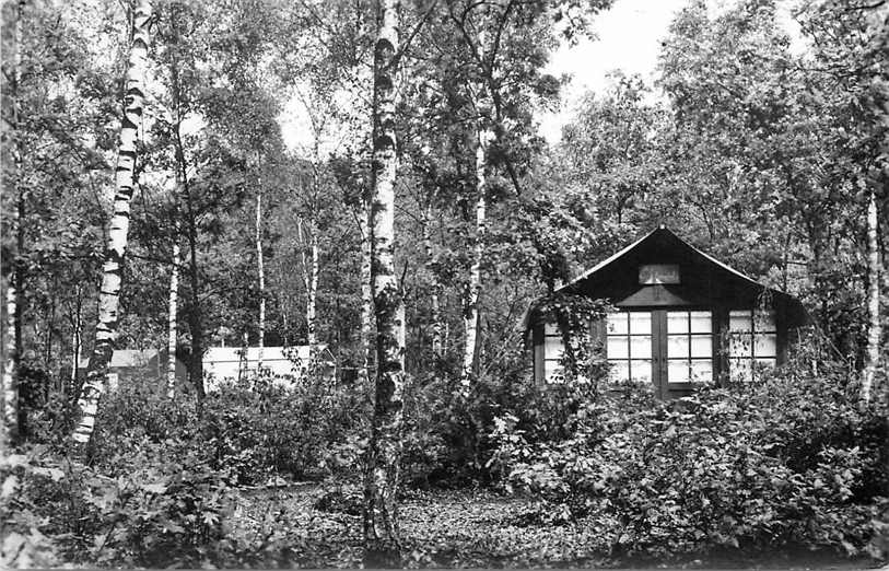 Doorn Het Grote Bos