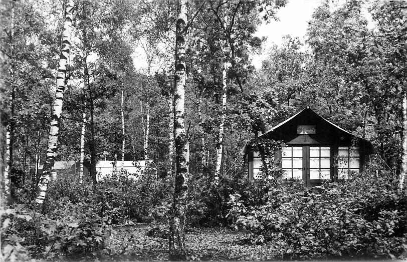 Doorn Het Grote Bos