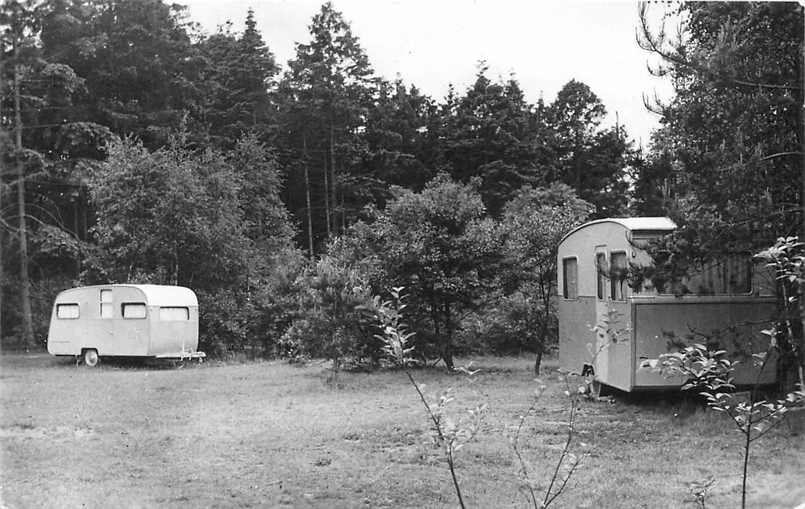 Doorn Het Grote Bos