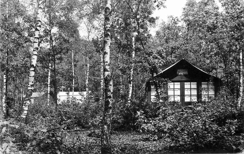 Doorn Het Grote Bos