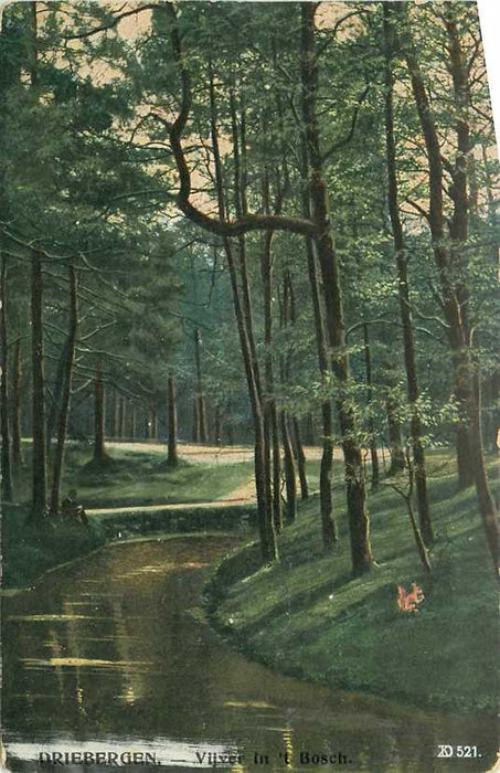 Driebergen Vijver in t Bosch