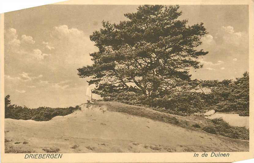 Driebergen In de Duinen