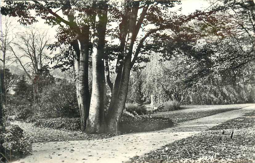 Leiden Hortus Botanicus