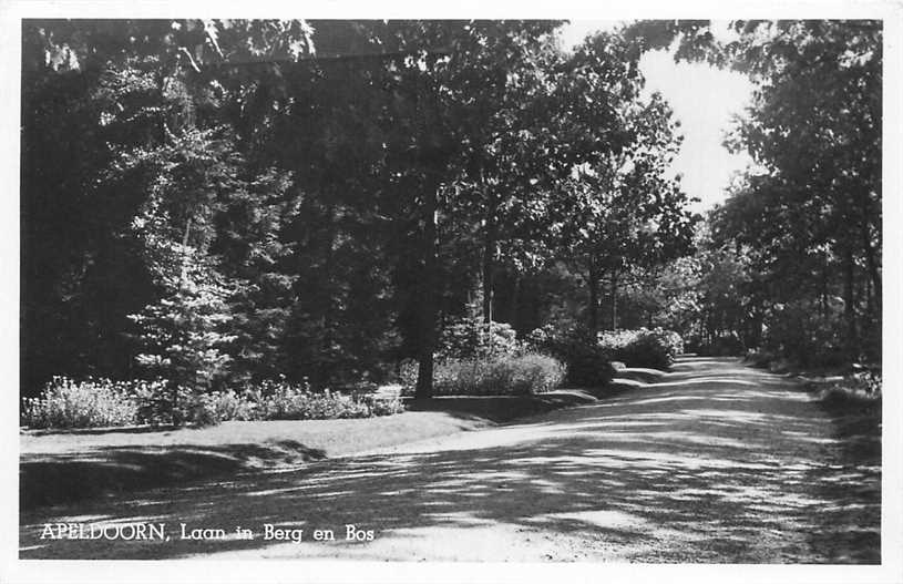 Apeldoorn Berg en Bos