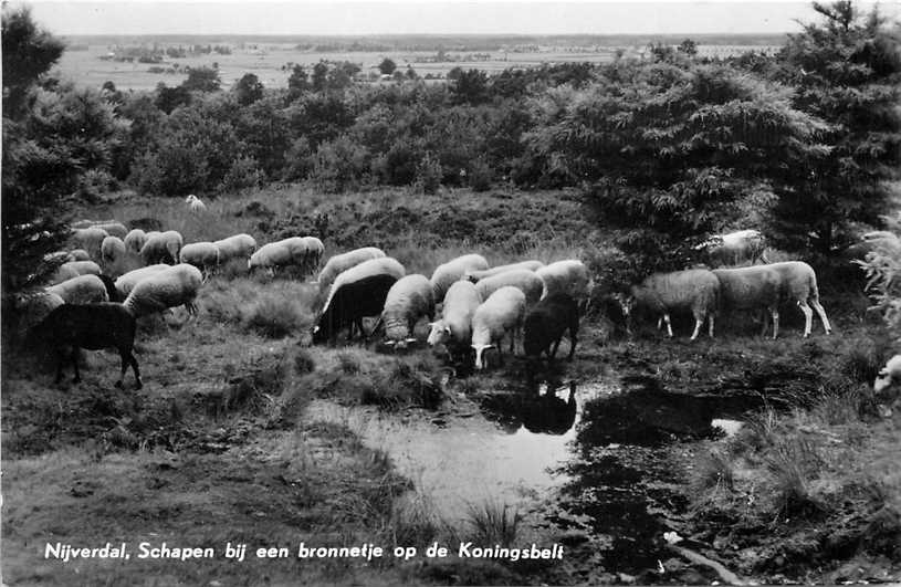 Nijverdal Koningsbelt