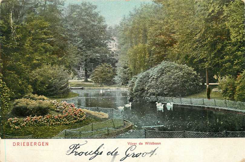 Driebergen  Vijver de Wildbaan