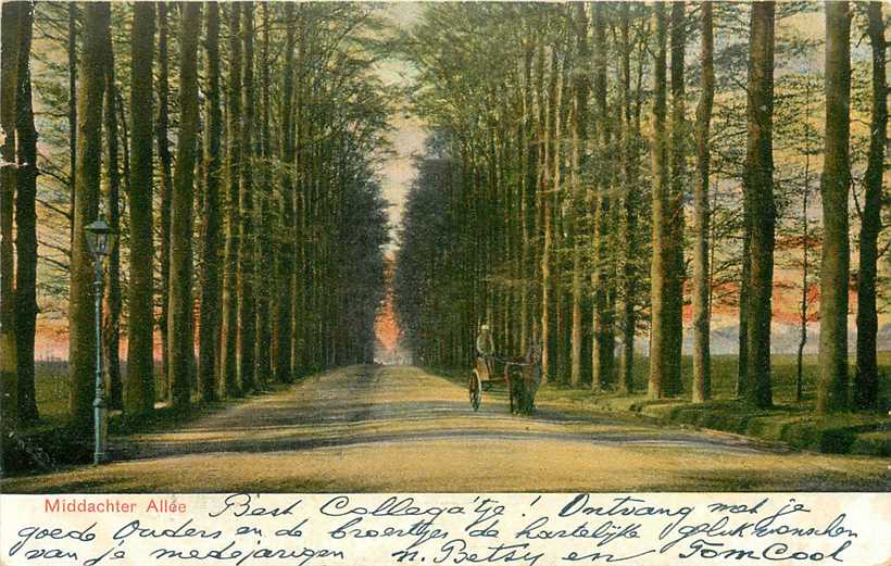 De Steeg Middachter Allee