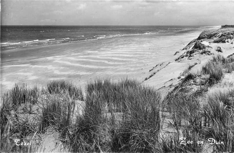 Texel Zee en Duin