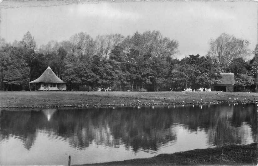 Leiden Hertenkamp