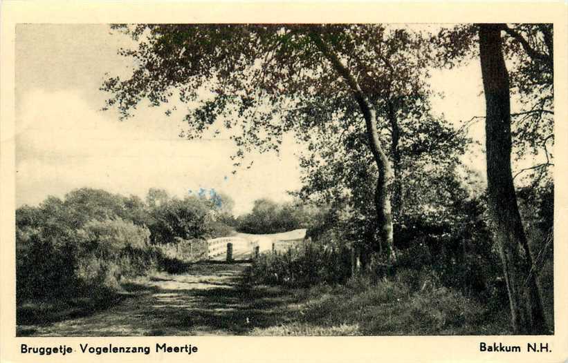 Bakkum NH Vogelenzang