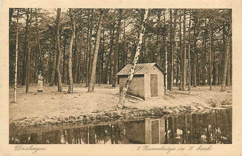 Driebergen Zwemhuisje in t Bosch