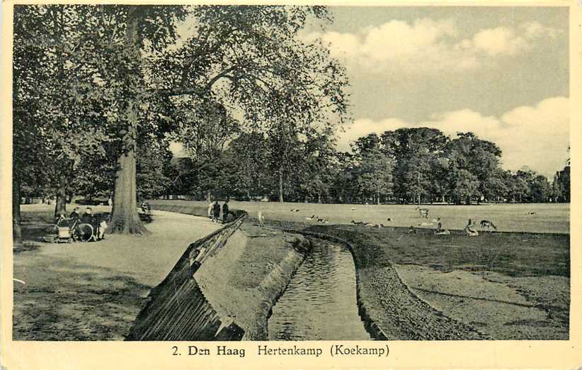 Den Haag  Hertenkamp