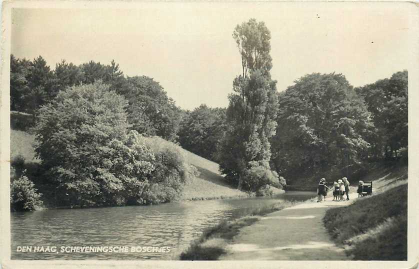 Den Haag  Scheveningsche Boschjes