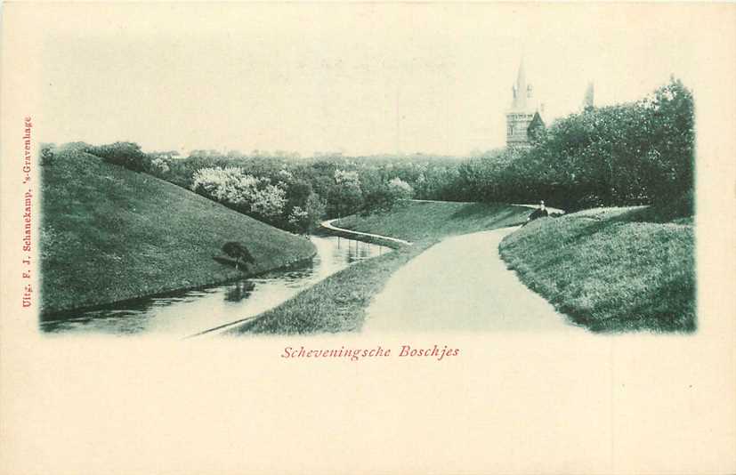 Den Haag  Scheveningsche Boschjes