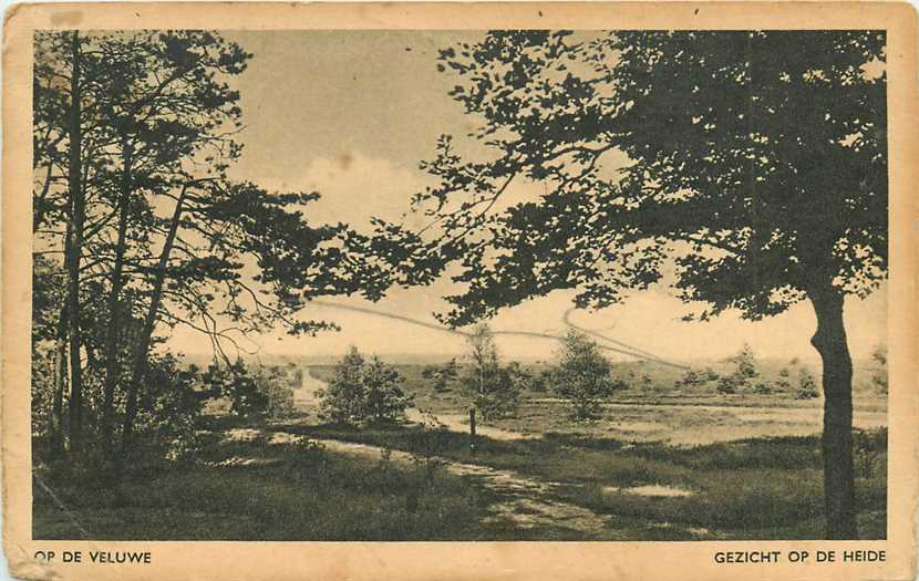 Veluwe Gezicht op de heide