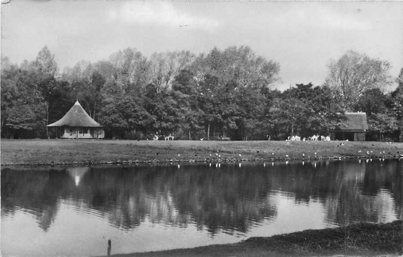 Leiden Hertenkamp