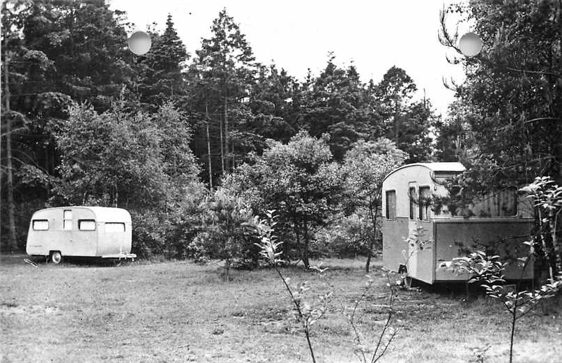 Doorn Het Grote Bos