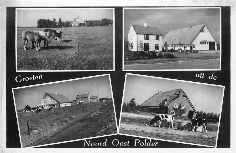 Noord Oost Polder