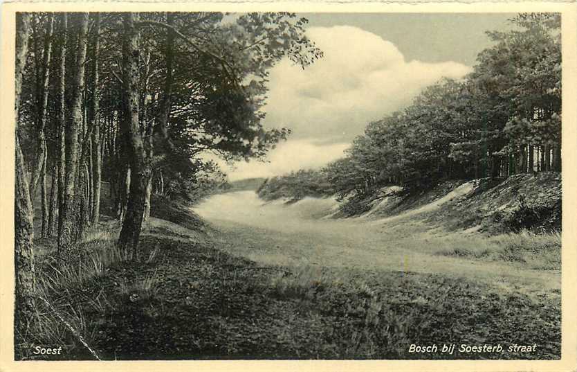 Soest Bosch bij Soesterbergsche Straat