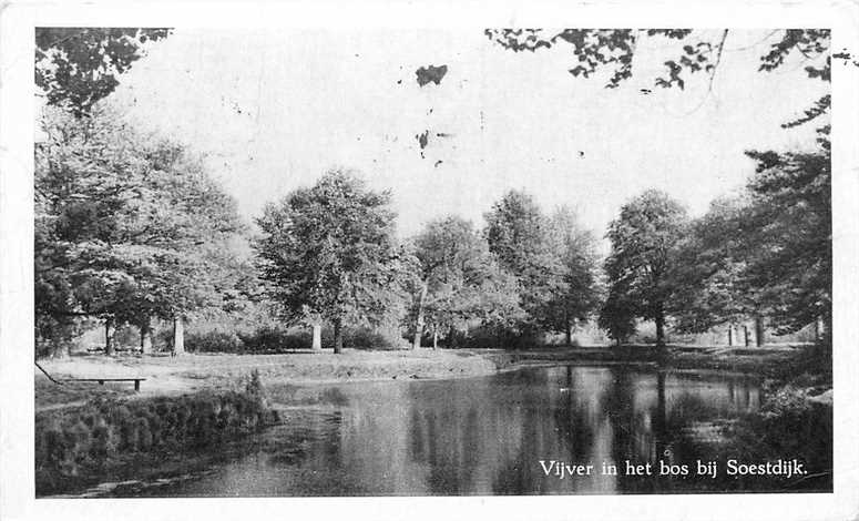 Soestdijk  Vijver in het bos