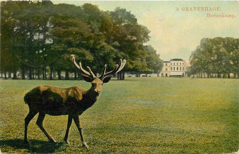 Den Haag  Hertenkamp