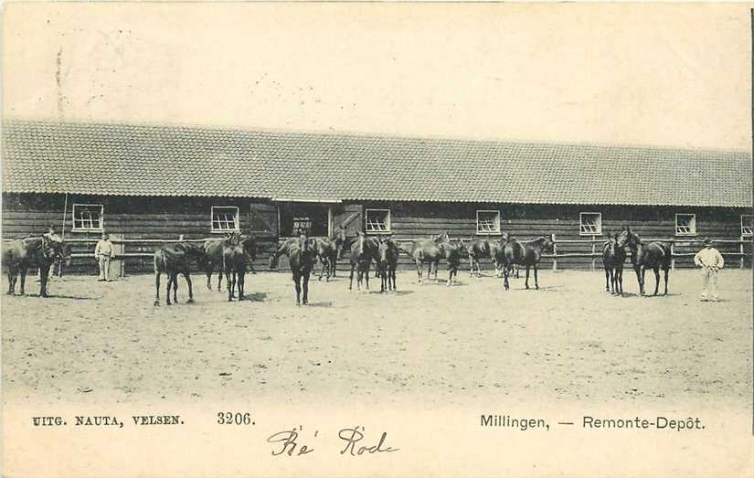 Milligen Remonte Depot