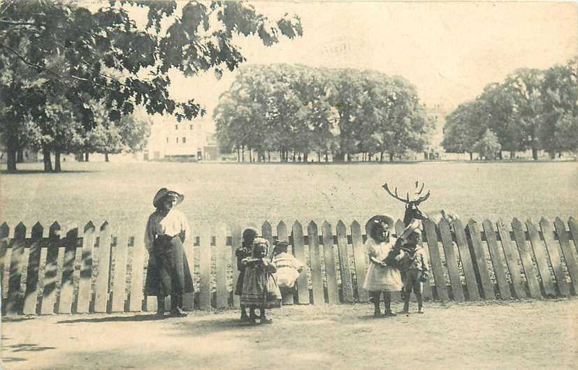 Den Haag Hertenkamp