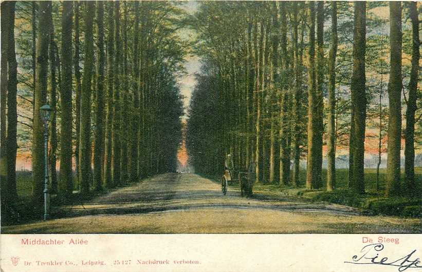 De Steeg  Middachter Allee