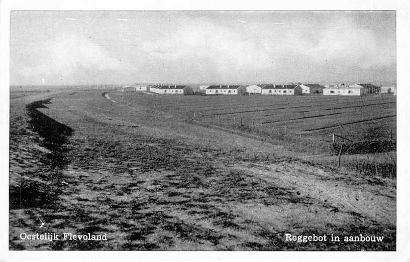 Oostelijk Flevoland Roggebot