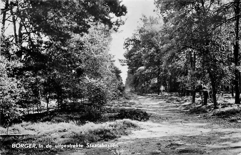 Borger Staatsbossen