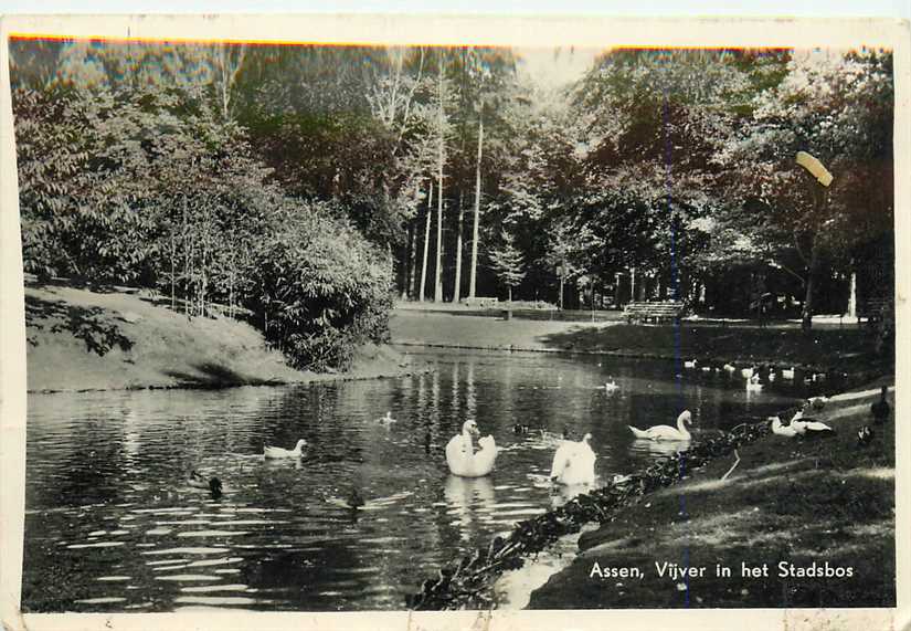 Assen Vijver in het Stadsbos