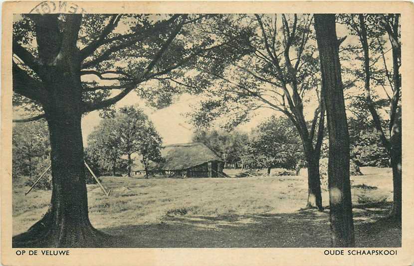 Op de Veluwe