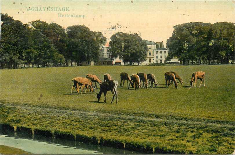 Den Haag Hertenkamp