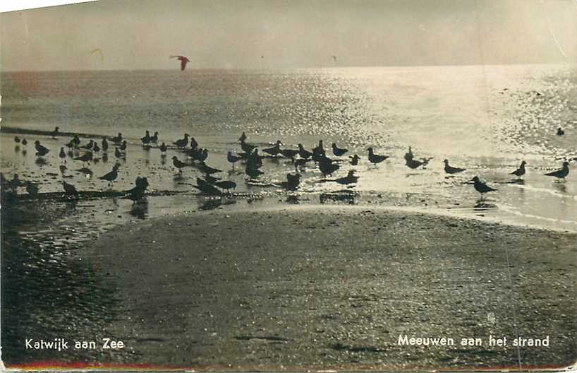 Katwijk aan Zee