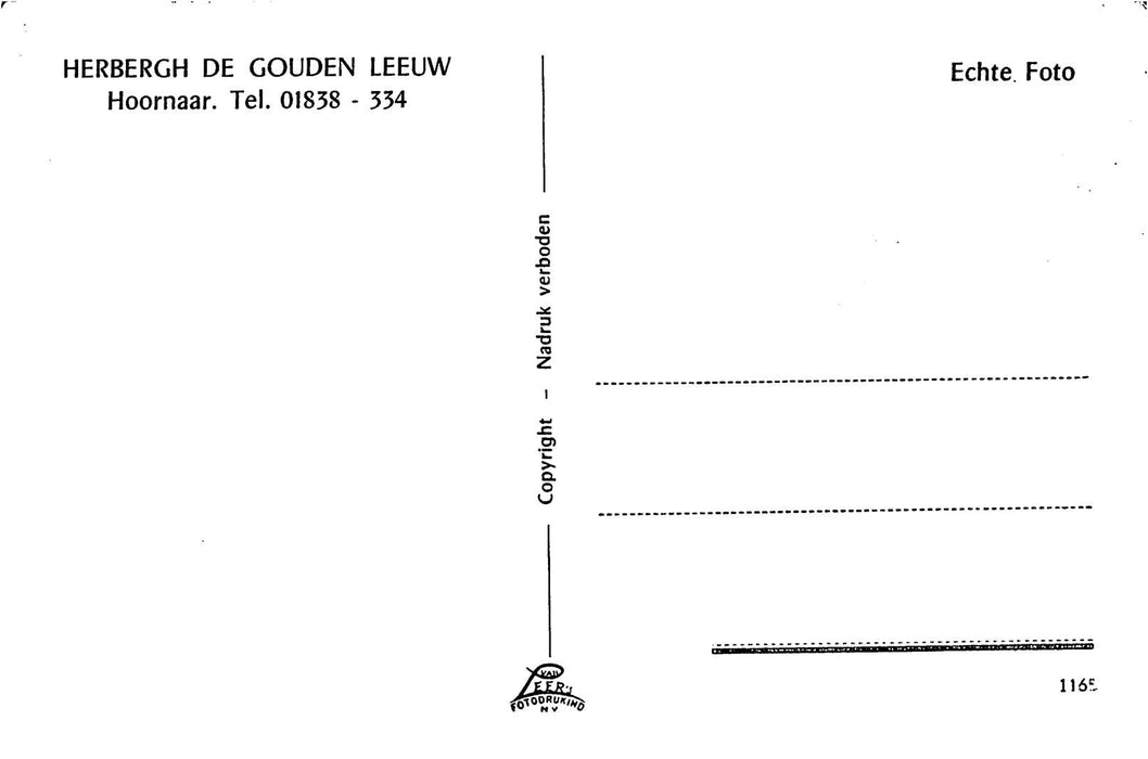 Hoornaar De Gouden Leeuw