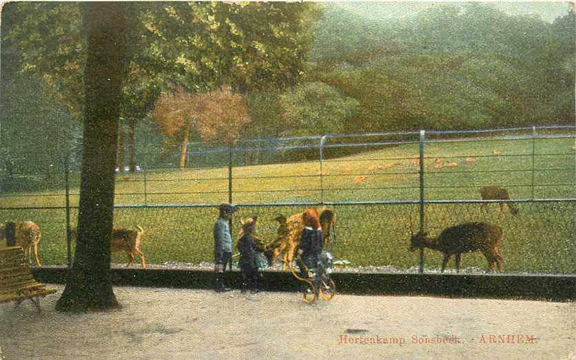 Arnhem Hertenkamp Sonsbeek